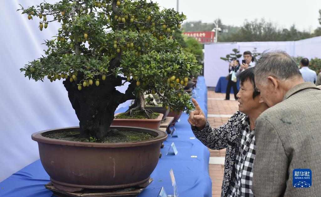mg游戏官网